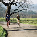 Santa Barbara Wine Country Getaway