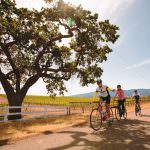 Electric-Assist Bike Day Tour