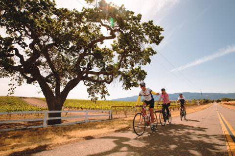 Electric Assist Bike Tour