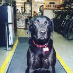Haley – Shop Ambassador / Hiking Companion