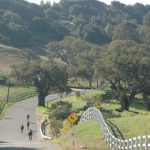 Ballard Canyon Tour