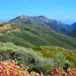 Figueroa Mountain-Cat Way Hike
