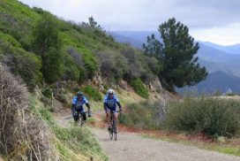 Figueroa Mountain Climb