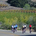 Foxen Canyon