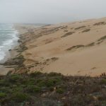 Guadalupe Dunes Beach Hike