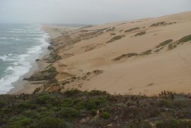 Guadalupe Dunes Hike