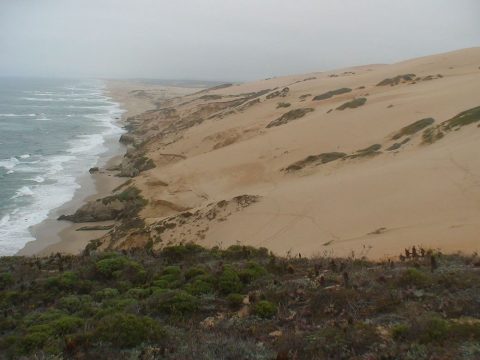 Guadalupe Dunes Beach Hike