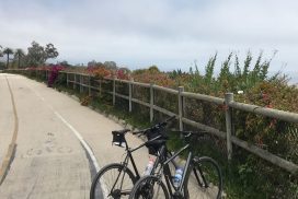 Santa Barbara Plant Lovers Tour