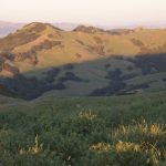 Snyder Trail Hike