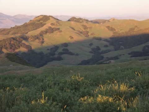 Snyder Trail Hike