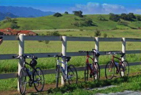 Bikes resting in Santa Ynez