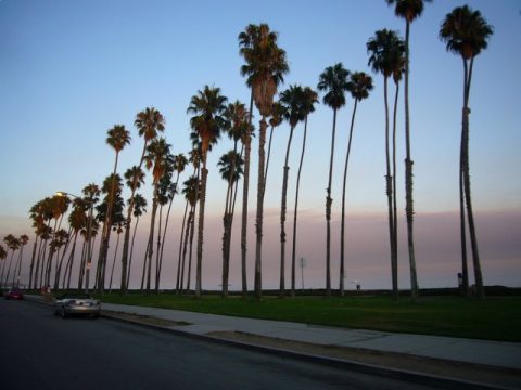 Santa Barbara Waterfront & Riviera Foothills