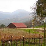 Santa Barbara to Paso Robles Cycling Vacation