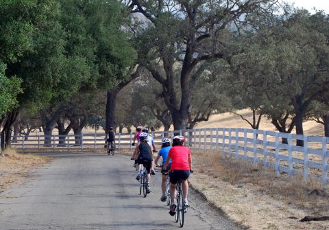 Santa Ynez Valley Tour