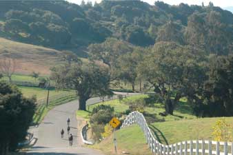 happy canyon road