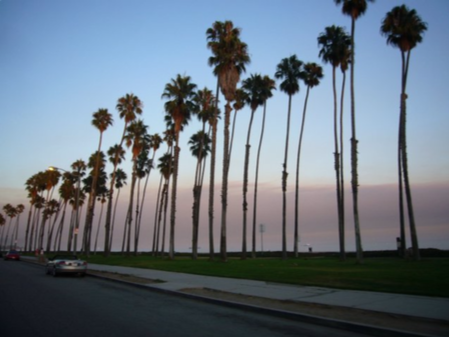 santa barbara coast