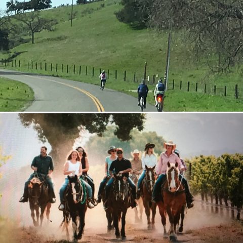 Blazing Saddles: Bike & Horseback Tour