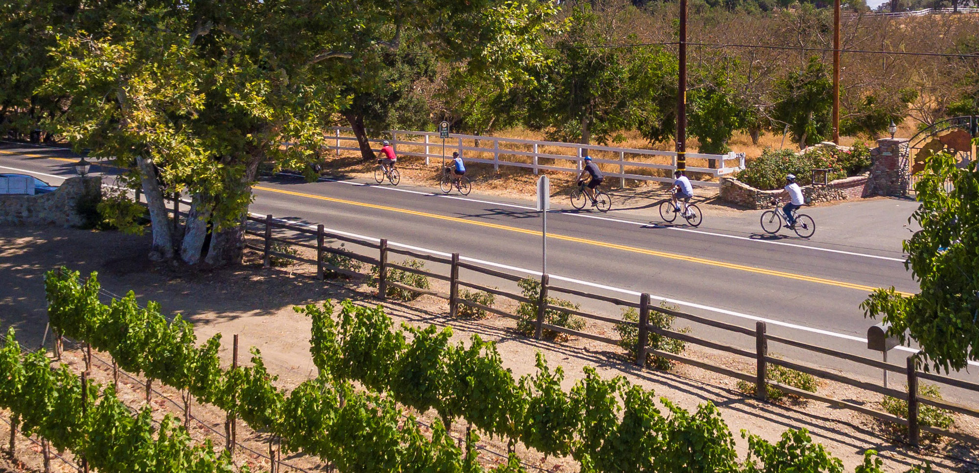 Nojoqui Wine Country E-Bike Tour