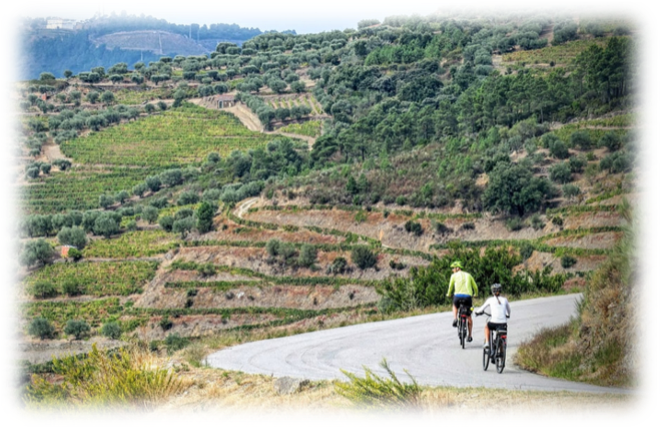 Douro Valley