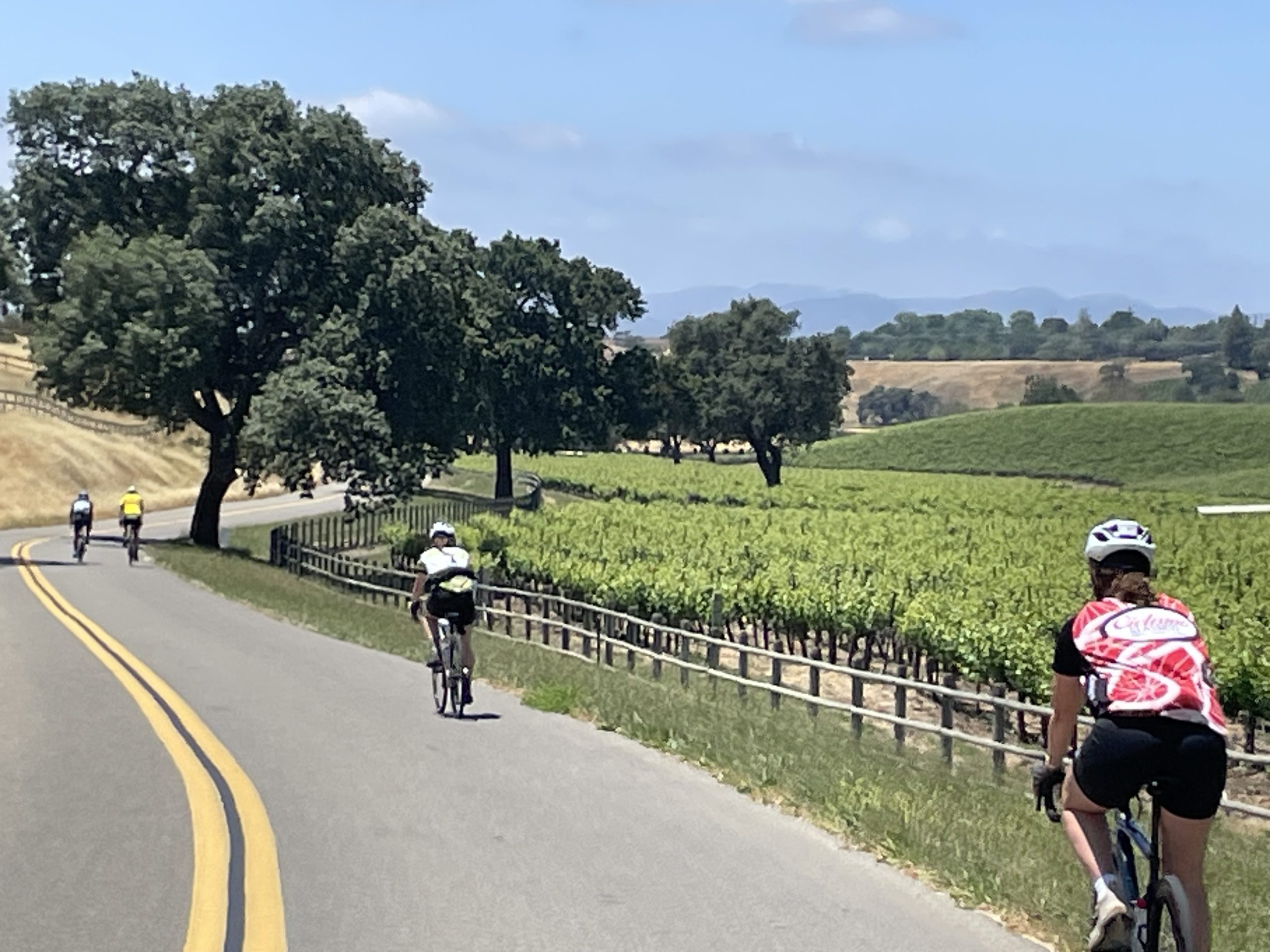 Cycling through Santa Ynez Valley